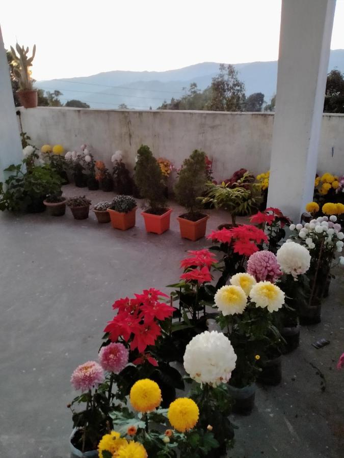 Ajit Homestay, Darjeeling ダージリン エクステリア 写真